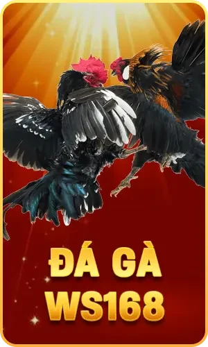 da ga ws168